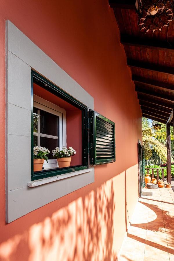 Chalet Pico Das Pedras Santana  Ngoại thất bức ảnh