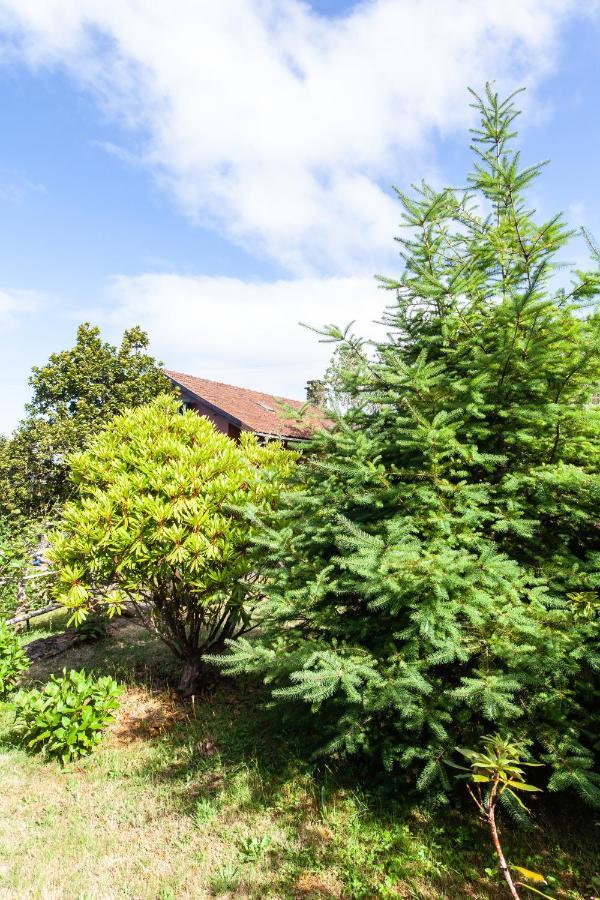 Chalet Pico Das Pedras Santana  Ngoại thất bức ảnh